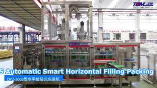 Confezionatrice per imballaggio a riempimento orizzontale intelligente automatica Dyz-300S per un riempimento efficiente